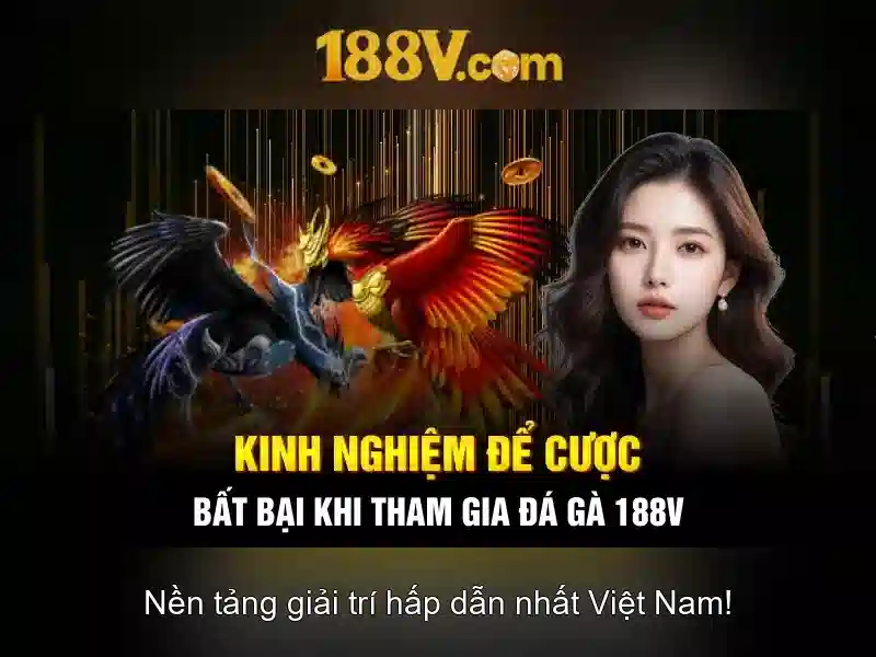 Thuật toán RTP động và hiệu quả 